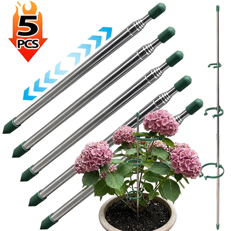 Plant Support Stake - วงแหวนรองรับต้นไม้แบบยืดหดได้ 5/1 ชิ้น สีเขียว สำหรับต้นไม้กระถาง ป้องกันการงอ
