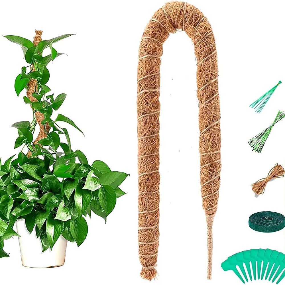 Pothos - ไม้ค้ำยันต้นมะพร้าวสำหรับปลูกในกระถาง ไม้ค้ำยันต้นไม้ ไม้ค้ำยันสำหรับต้นไม้เลื้อย ไม้ค้ำยันมะพร้าว ไม้ค้ำยันมอส