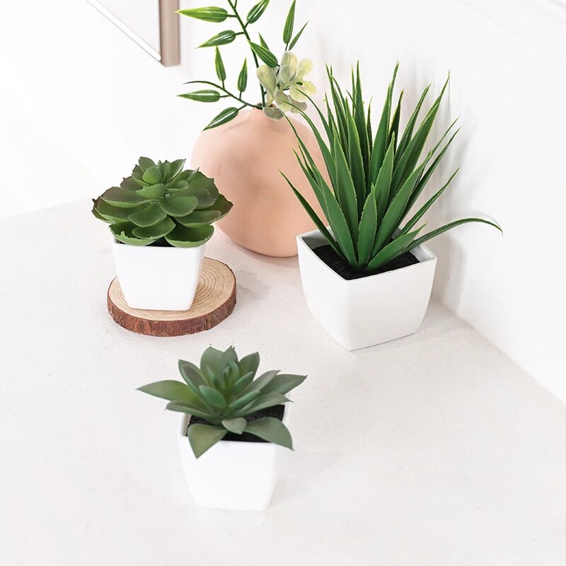 Succulent Set - พืชบอนไซเอเวอร์กรีนเทียม3ชิ้นเหมาะสำหรับตกแต่งบ้านร้านอาหารสำนักงานเดสก์ท็อปและขอบหน้าต่าง
