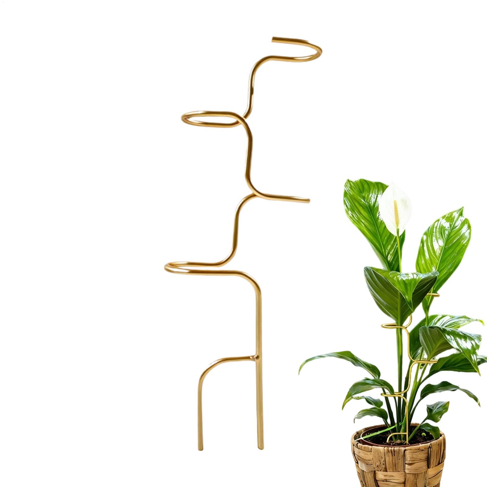Plant Support Stake - โครงยึดลำต้นพืชในสวน โครงเหล็กค้ำยันลำต้นกุหลาบ สำหรับนักจัดสวนในบ้าน กล้วยไม้ โบตั๋น อะมาลิลลิส