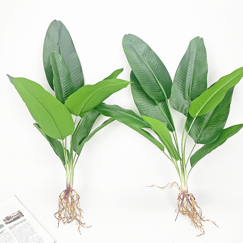 ประดิษฐ์กล้วยต้นไม้จำลองสีเขีย - Fiddle Leaf Fig บทวิจารณ์และราคา