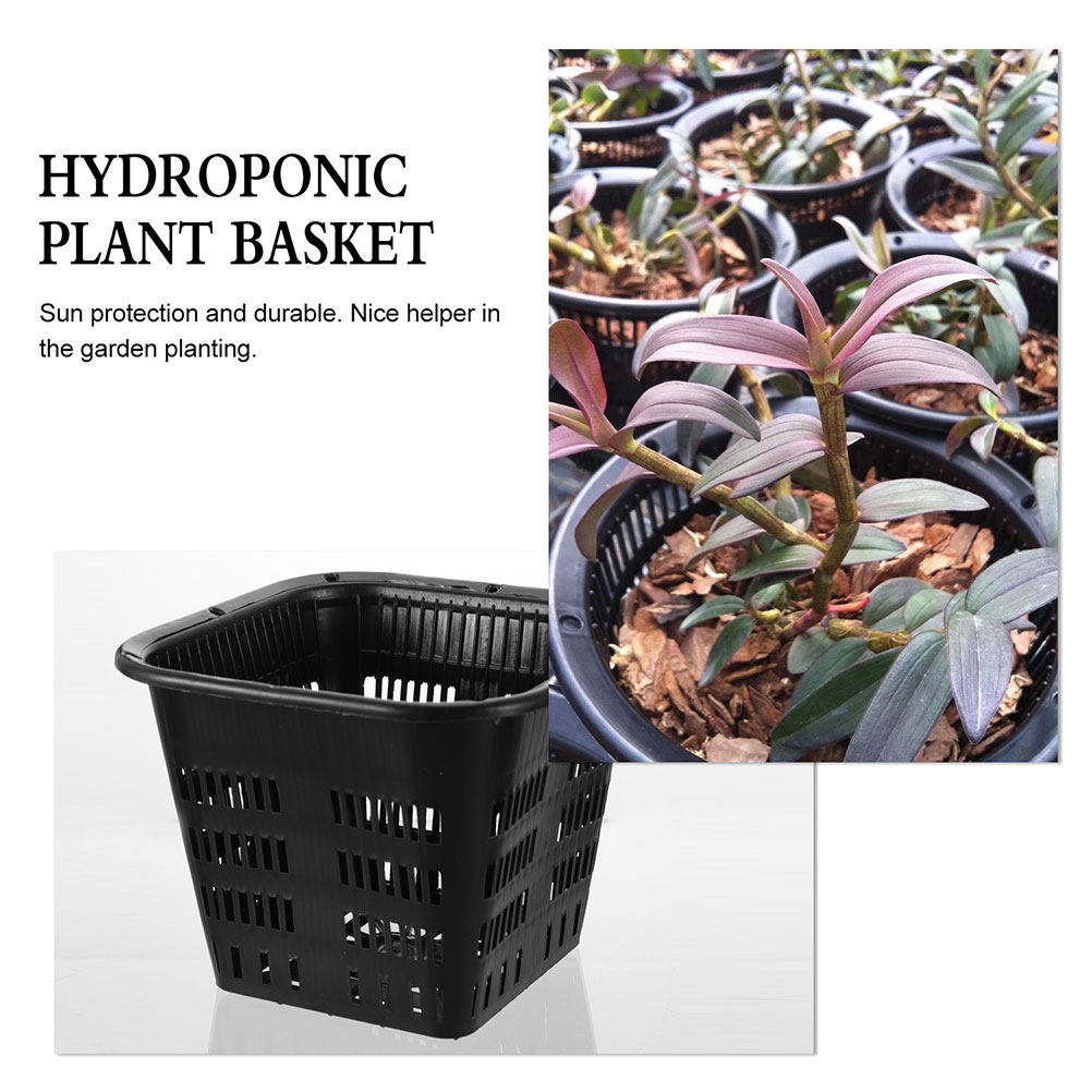 กระถางควบคุมราก 15 ชิ้น ขนาด 1 - Indoor Plants บทวิจารณ์และราคา