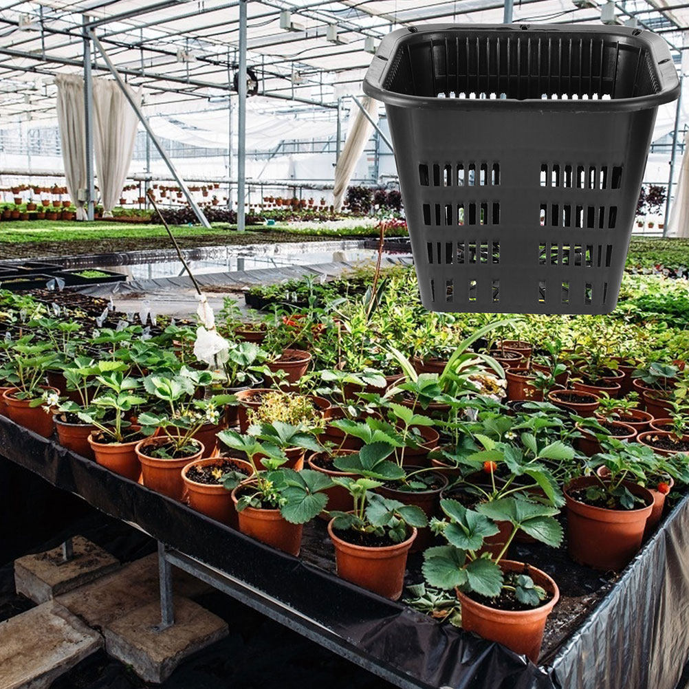 กระถางควบคุมราก 15 ชิ้น ขนาด 1 - Indoor Plants บทวิจารณ์และราคา