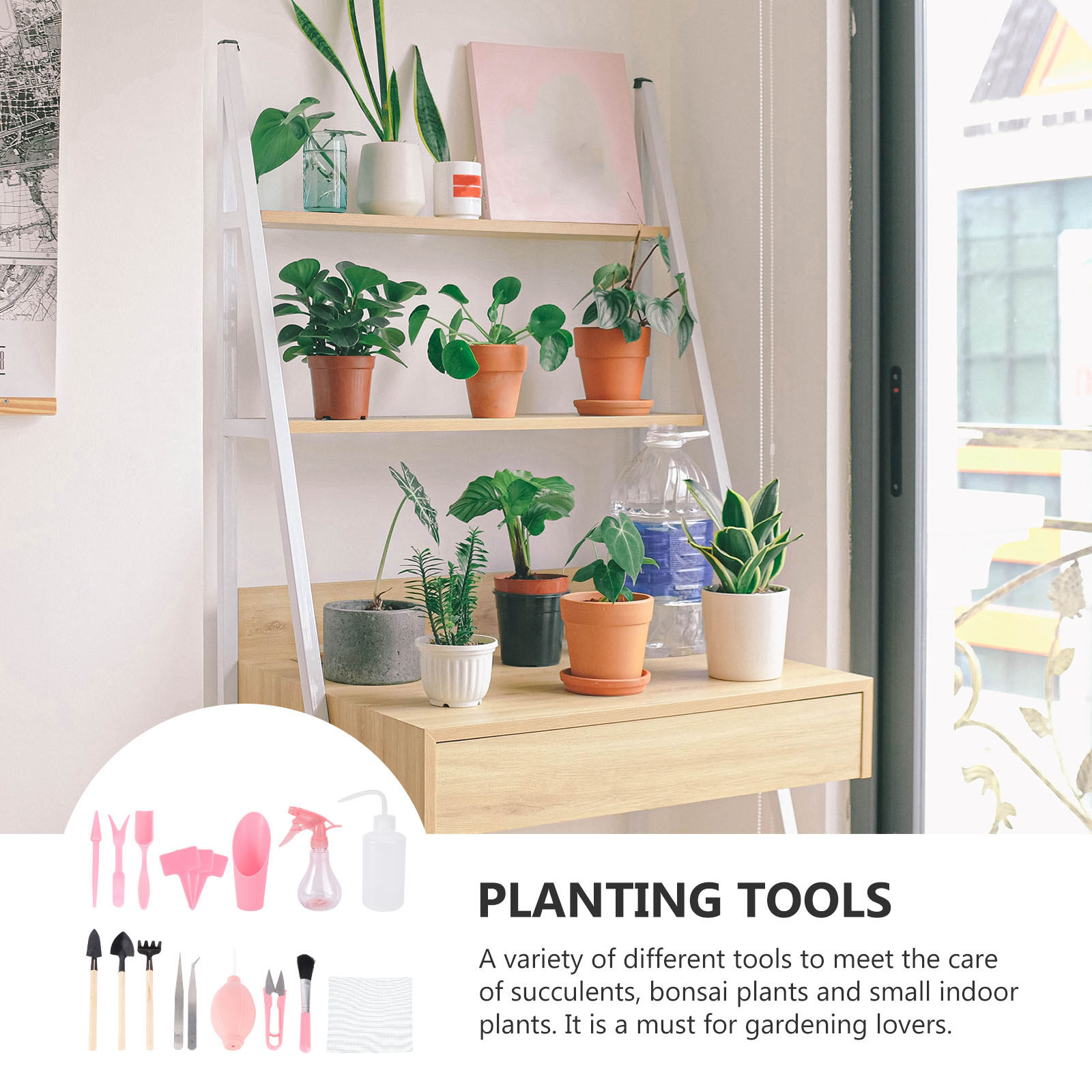 ชุดเครื่องมือปลูกต้นไม้ขนาดเล็ - Succulent Set บทวิจารณ์และราคา
