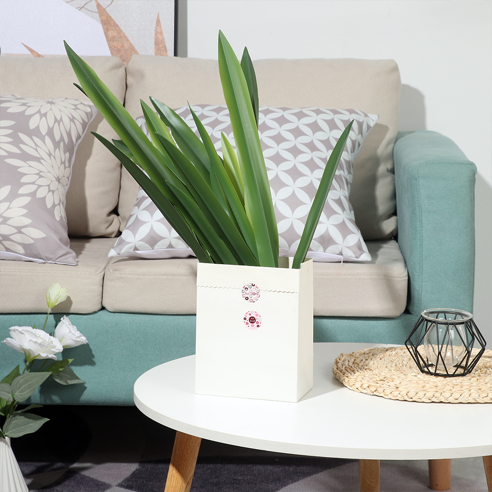 ใบกล้วยไม้ประดิษฐ์ทำจากซิลิกอน - Snake Plant บทวิจารณ์และราคา