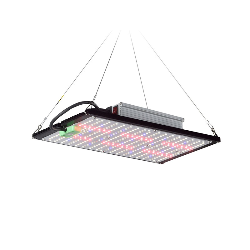 ไฟปลูกต้นไม้ LED แบบควอนตัมบอร - Indoor Plants บทวิจารณ์และราคา