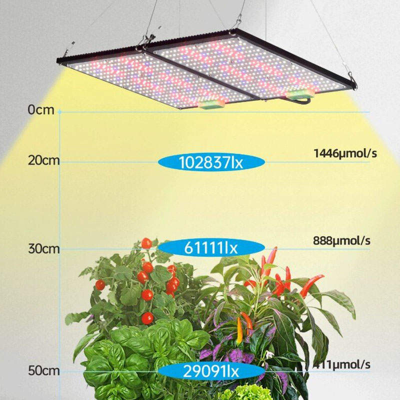 ไฟปลูกต้นไม้ LED แบบควอนตัมบอร - Indoor Plants บทวิจารณ์และราคา