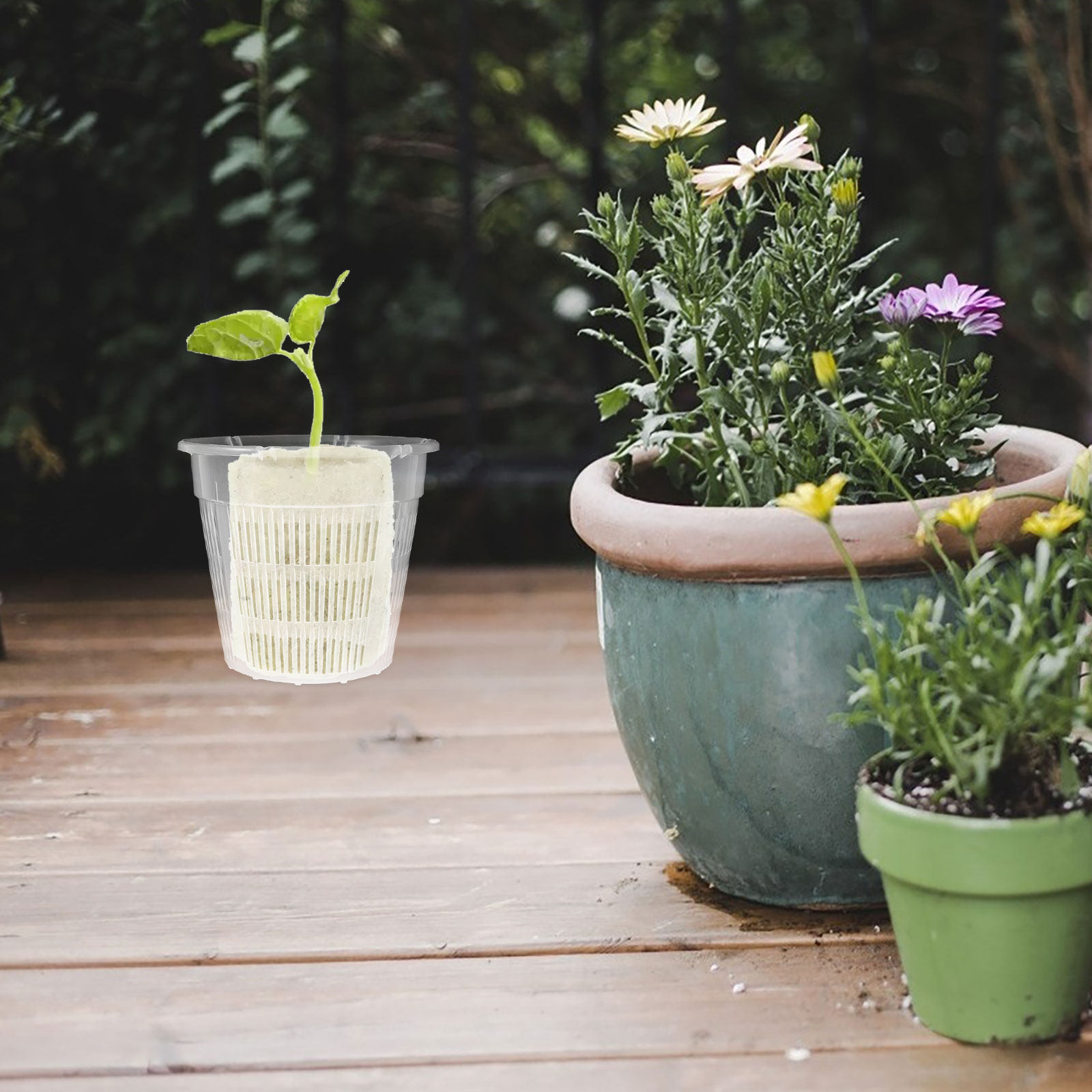 กระถางปลูกพืชไฮโดรโพนิก 4 ชิ้น - Plant Pot บทวิจารณ์และราคา