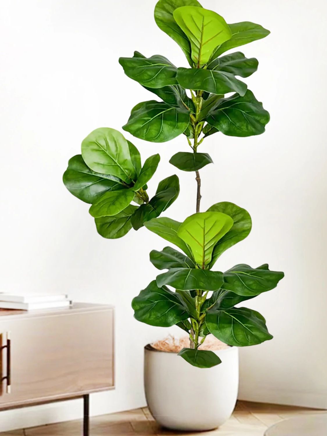 ต้นมะเดื่อใบแฉกประดิษฐ์ ขนาด 4 - Fiddle Leaf Fig บทวิจารณ์และราคา