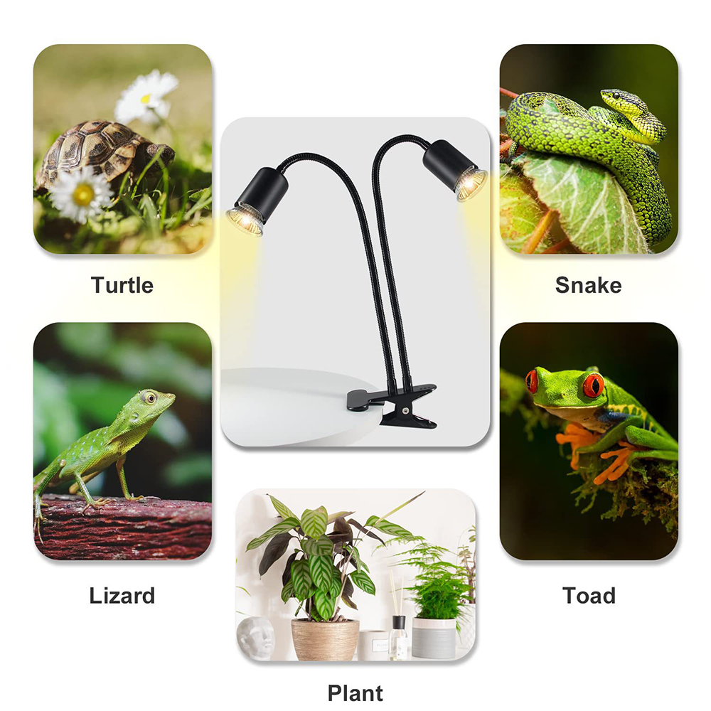 หลอดไฟความร้อนสำหรับสัตว์เลื้อ - Snake Plant บทวิจารณ์และราคา