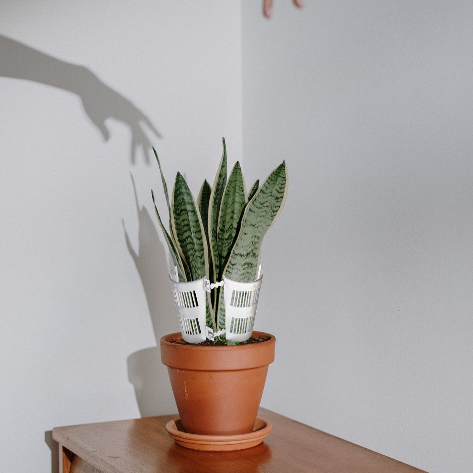 10 ชิ้น กระถางควบคุมราก กระถาง - Plant Pot บทวิจารณ์และราคา