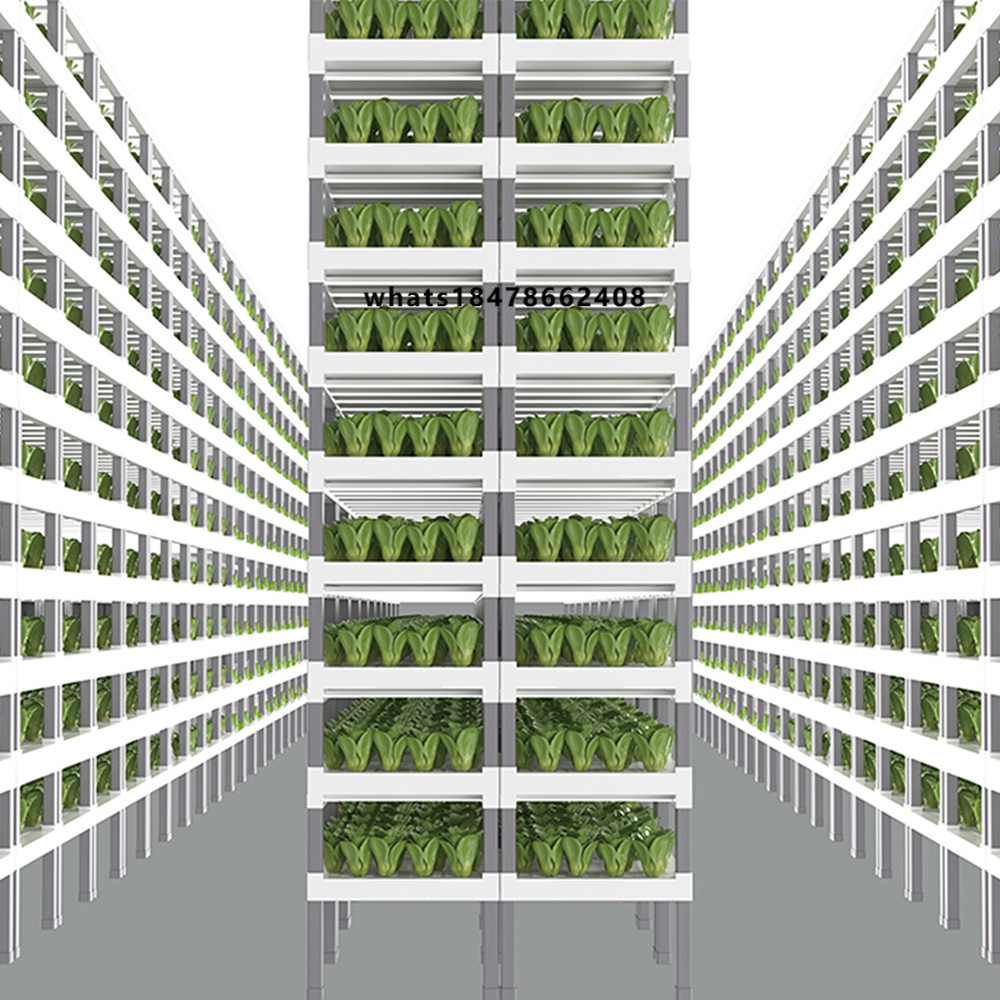 ระบบปลูกผักไฮโดรโปนิกส์อัจฉริย - Indoor Plants บทวิจารณ์และราคา