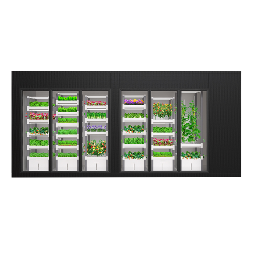 ระบบปลูกผักไฮโดรโปนิกส์อัจฉริย - Indoor Plants บทวิจารณ์และราคา