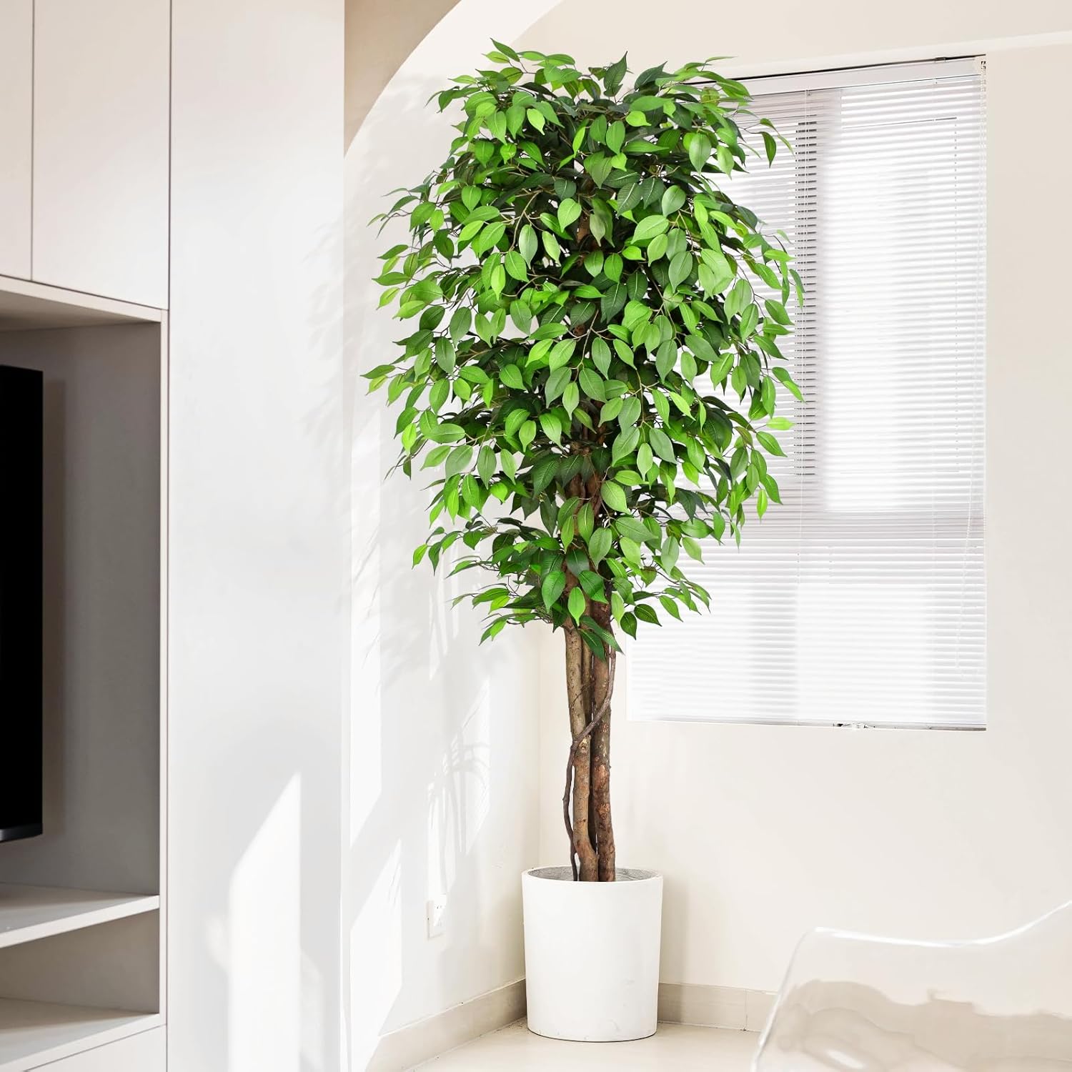 ต้นไทรประดิษฐ์เสมือนจริงพร้อมล - Fiddle Leaf Fig บทวิจารณ์และราคา