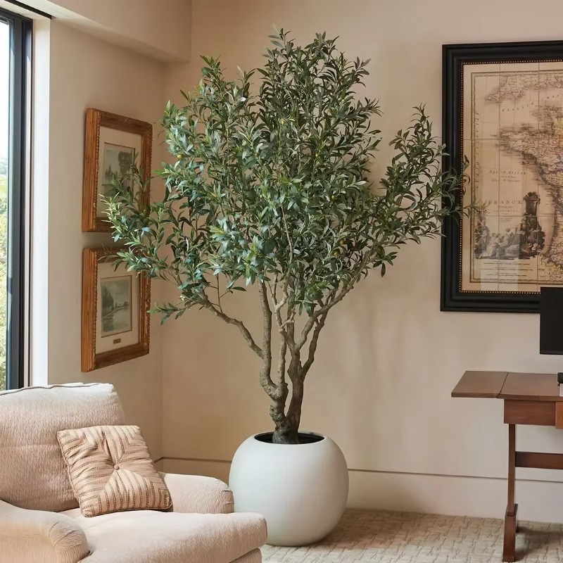 ต้นมะกอกเทียมในกระถางพลาสติก ข - Indoor Plants บทวิจารณ์และราคา