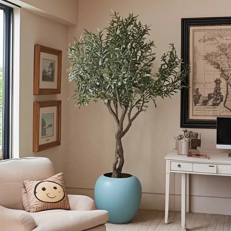 ต้นมะกอกเทียมในกระถางพลาสติก ข - Indoor Plants บทวิจารณ์และราคา