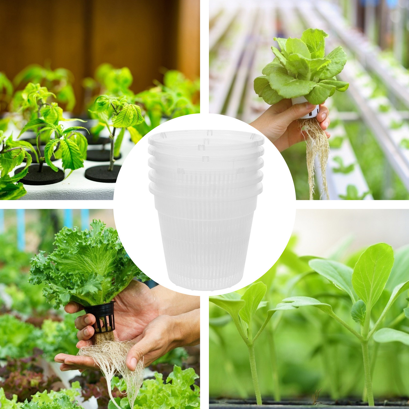 5 ชิ้น กระถางตาข่ายปลูกพืชไฮโด - Indoor Plants บทวิจารณ์และราคา