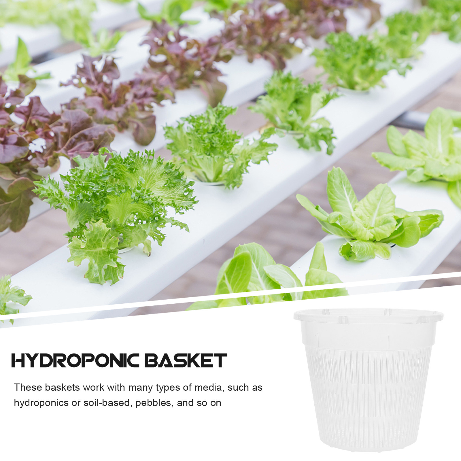 5 ชิ้น กระถางตาข่ายปลูกพืชไฮโด - Indoor Plants บทวิจารณ์และราคา