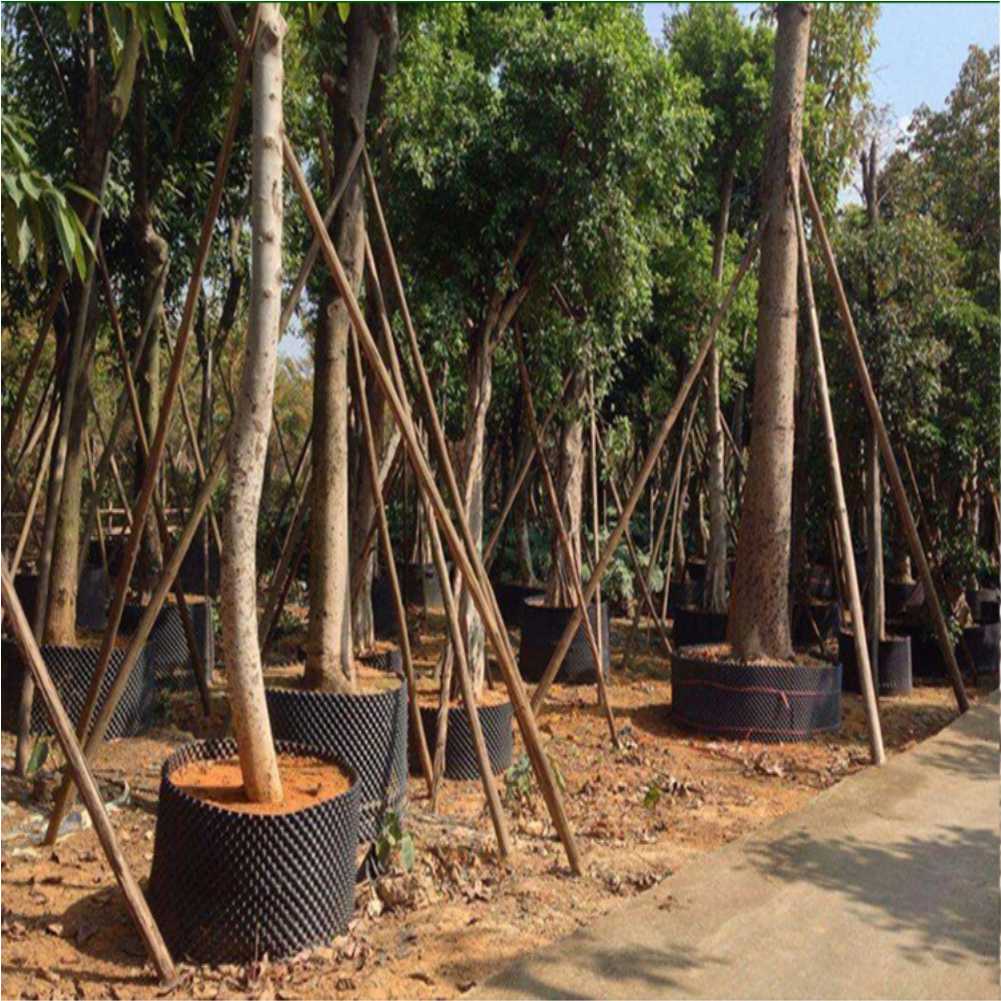 กระถางปลูกต้นไม้แบบเร่งการเจริ - Plant Pot บทวิจารณ์และราคา