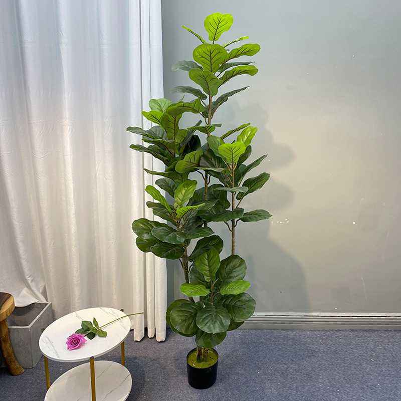 ต้นไทรขนาดใหญ่59in ต้นพลาสติกต - Fiddle Leaf Fig บทวิจารณ์และราคา