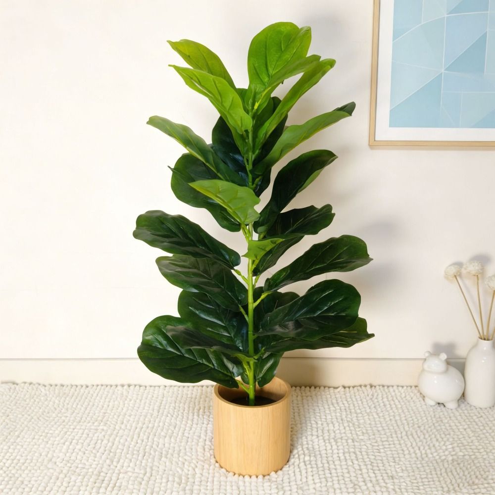 ต้นไทรพลาสติกสีเขียวขนาดใหญ่ 2 - Fiddle Leaf Fig บทวิจารณ์และราคา