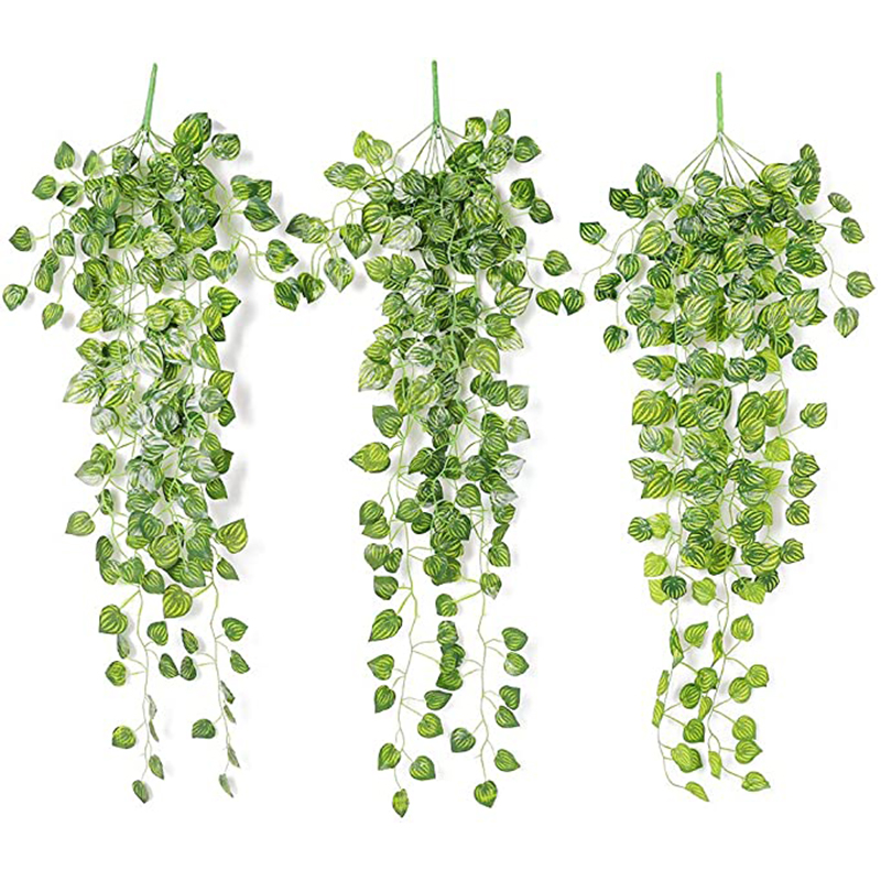 ตะกร้าหวายเทียมแขวนต้นไม้ใบไม้ - Succulent Set บทวิจารณ์และราคา