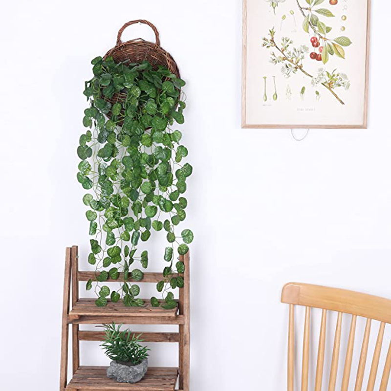 ตะกร้าหวายเทียมแขวนต้นไม้ใบไม้ - Succulent Set บทวิจารณ์และราคา