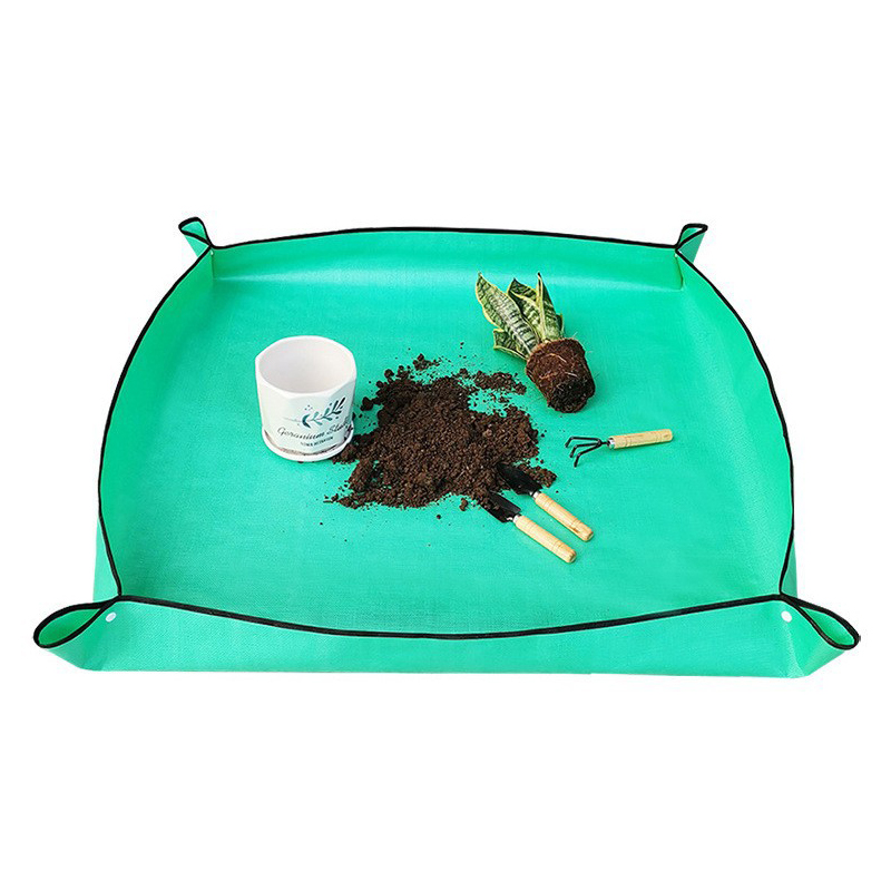 แผ่นรองปลูกต้นไม้ แผ่นรองปลูกต - Succulent Set บทวิจารณ์และราคา