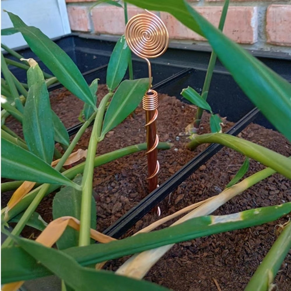 เสาค้ำต้นไม้แบบขดลวดทองแดง ทนท - Plant Support Stake บทวิจารณ์และราคา