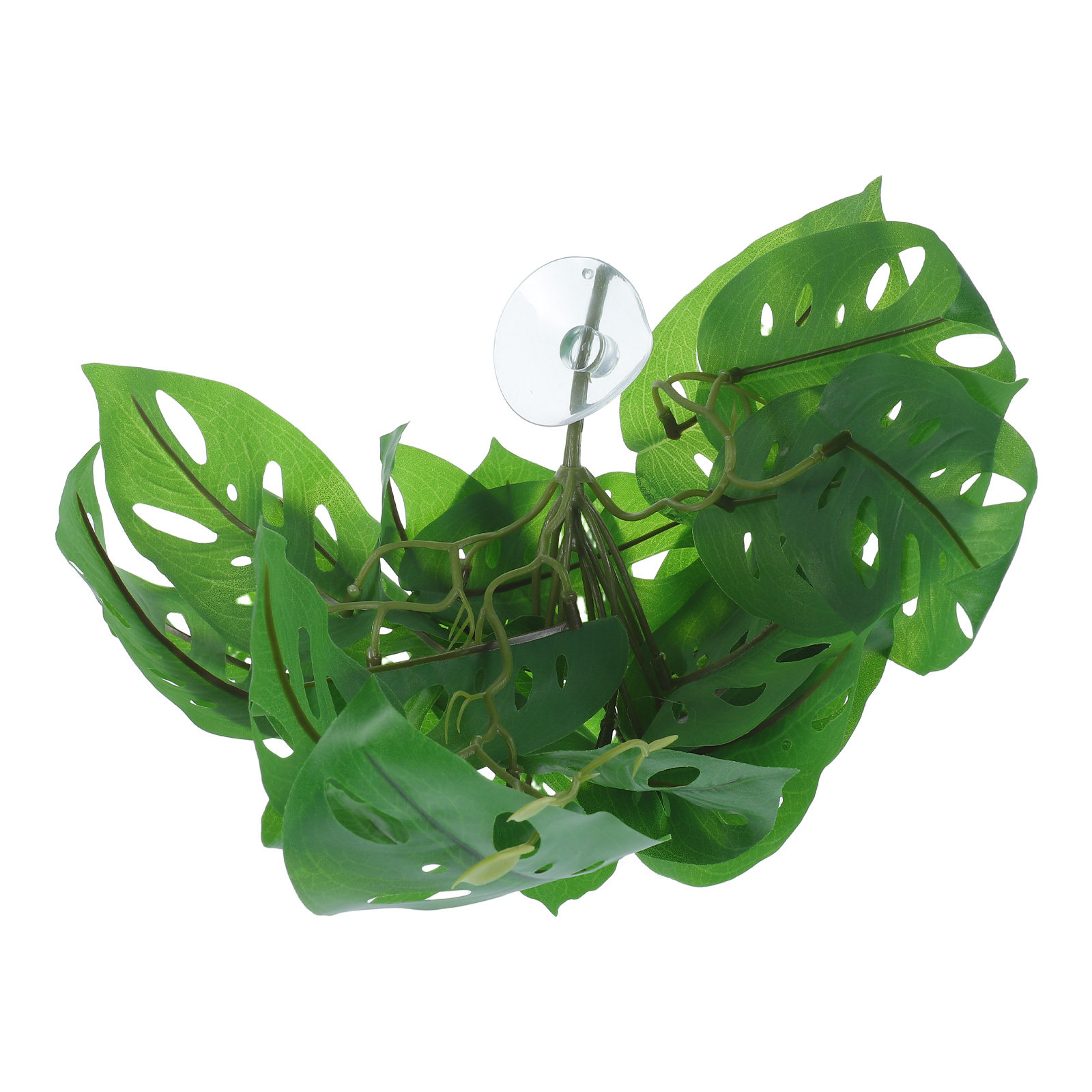 ของตกแต่งตู้สัตว์เลื้อยคลาน ต้ - Snake Plant บทวิจารณ์และราคา