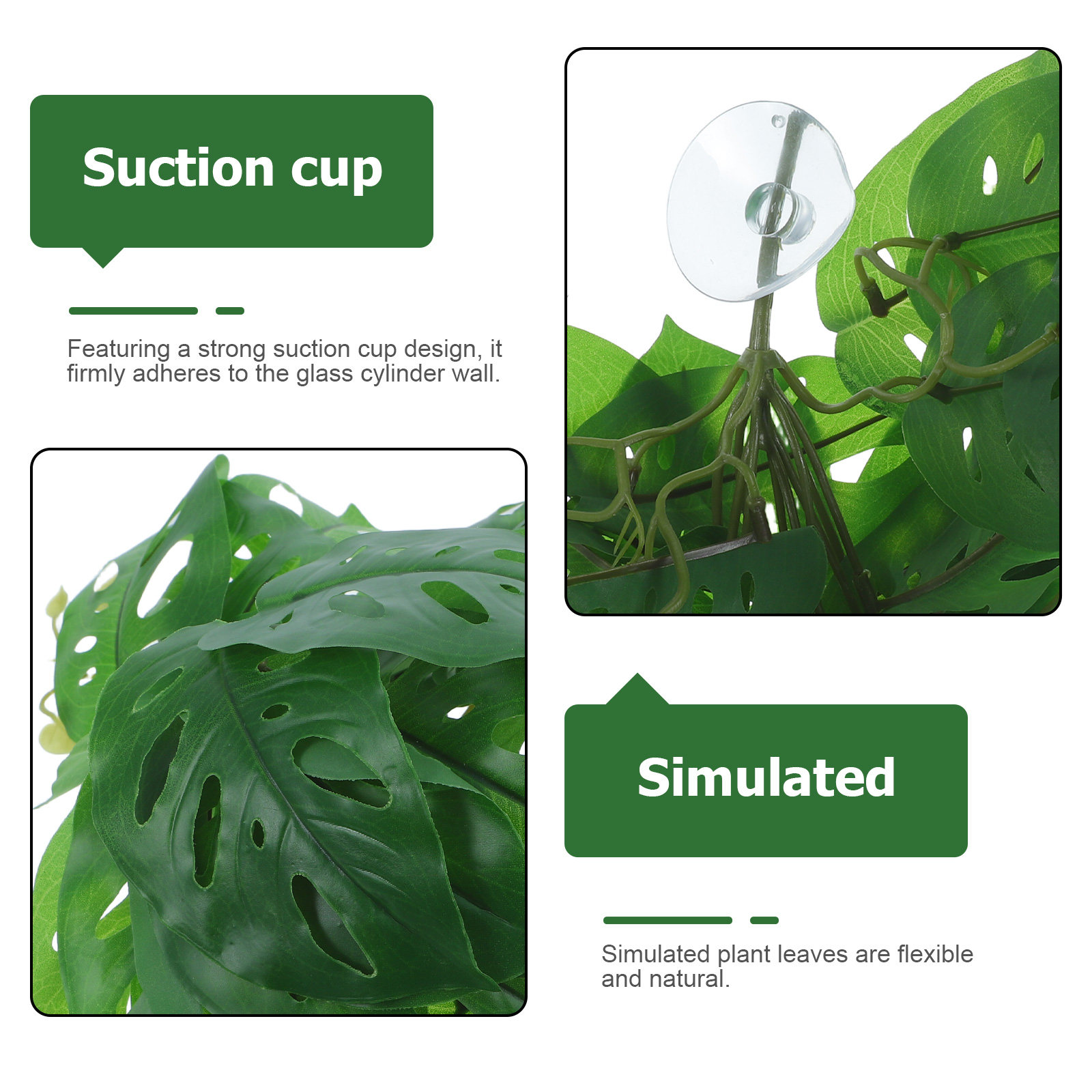 ของตกแต่งตู้สัตว์เลื้อยคลาน ต้ - Snake Plant บทวิจารณ์และราคา