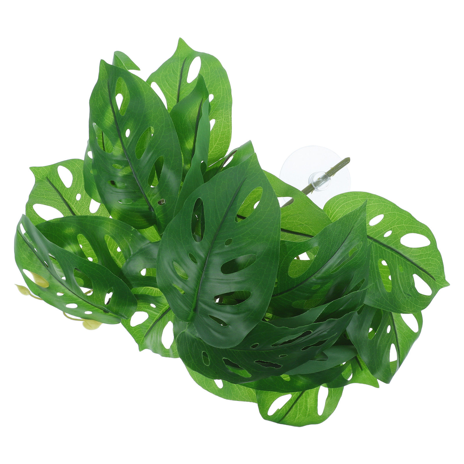 ของตกแต่งตู้สัตว์เลื้อยคลาน ต้ - Snake Plant บทวิจารณ์และราคา