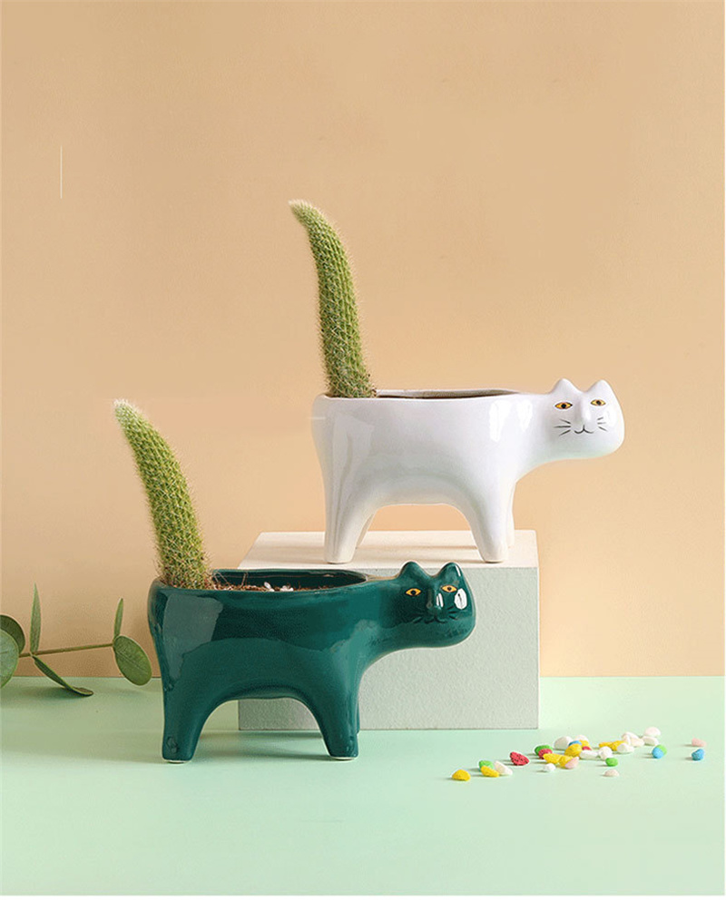 แมวน่ารักเซรามิคสวนดอกไม้หม้อภ - Snake Plant Ceramic บทวิจารณ์และราคา