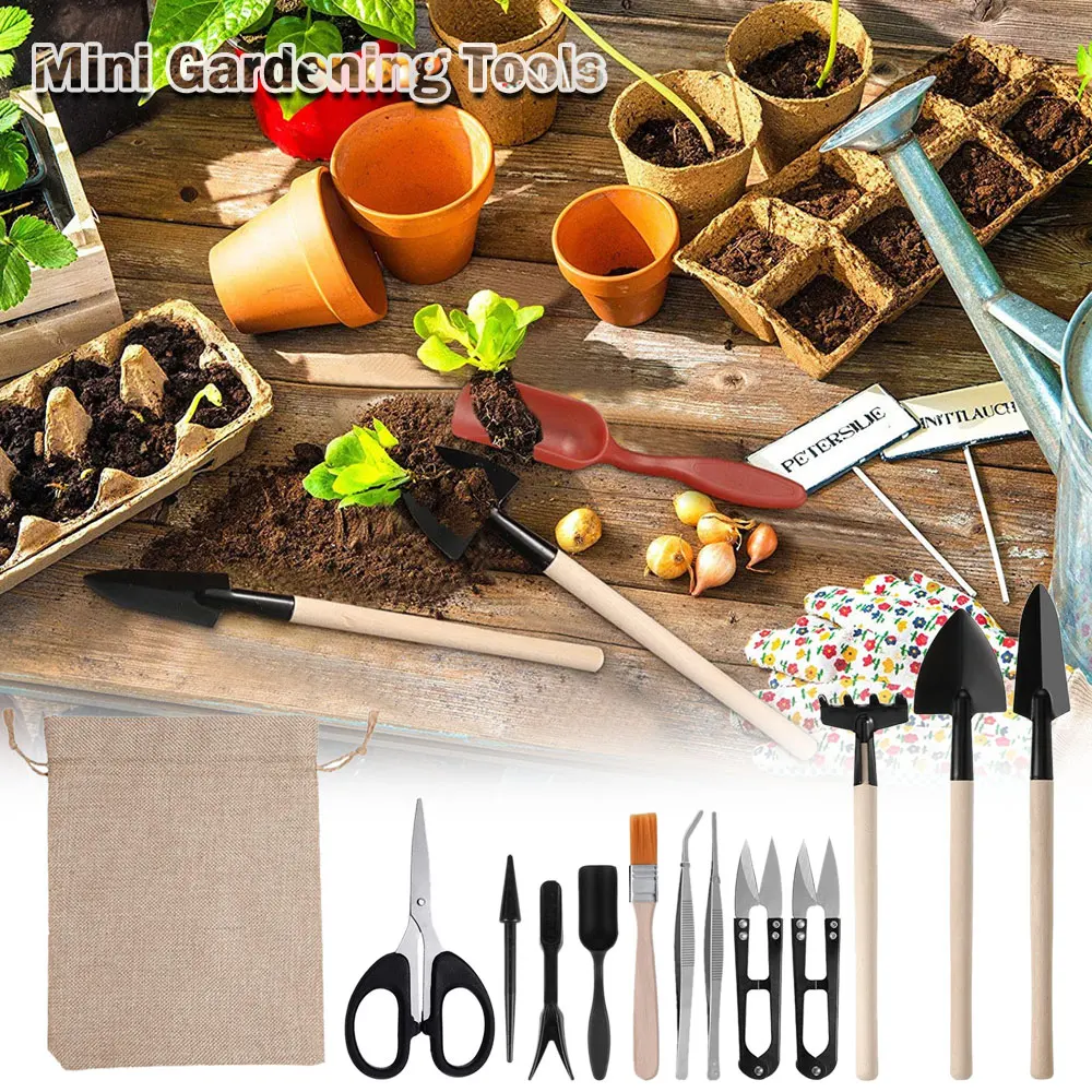 ชุดเครื่องมือปลูกพืชอวบน้ำ13ชิ - Succulent Set บทวิจารณ์และราคา