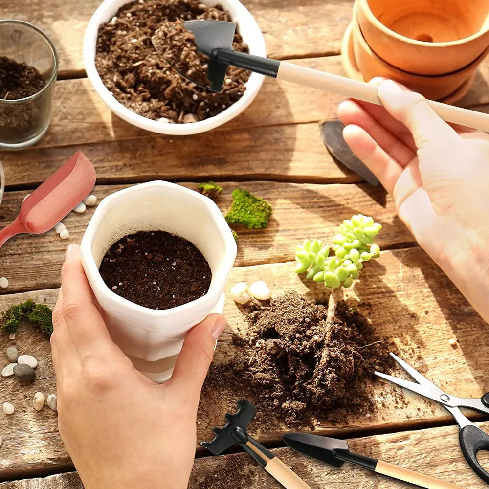 ชุดเครื่องมือปลูกพืชอวบน้ำ13ชิ - Succulent Set บทวิจารณ์และราคา