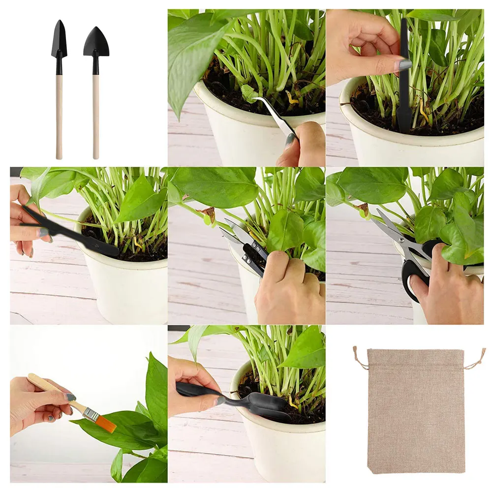 ชุดเครื่องมือปลูกพืชอวบน้ำ13ชิ - Succulent Set บทวิจารณ์และราคา