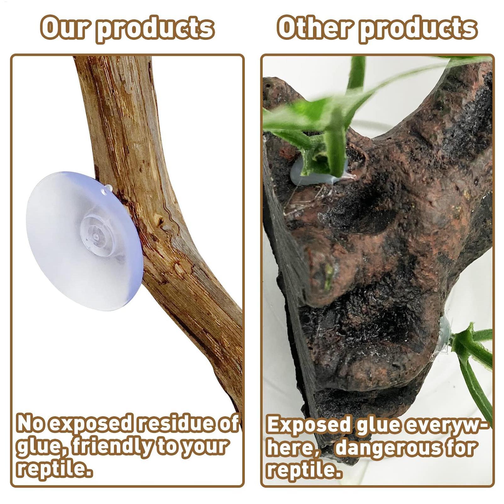 แท่งปีนป่ายสำหรับสัตว์เลื้อยคล - Snake Plant บทวิจารณ์และราคา