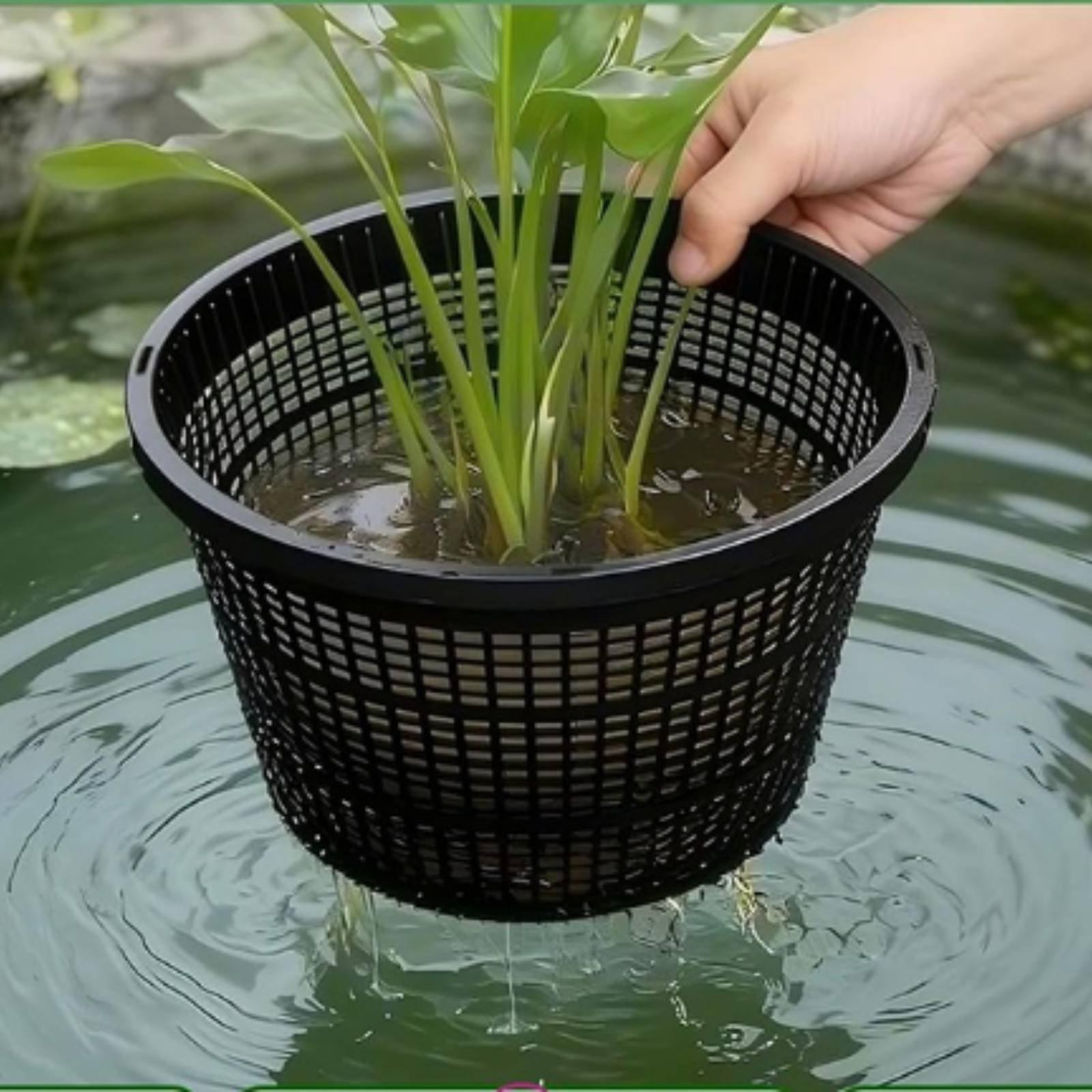 กระถางปลูกพืชแบบไฮโดรโพนิกส์ ข - Plant Pot บทวิจารณ์และราคา