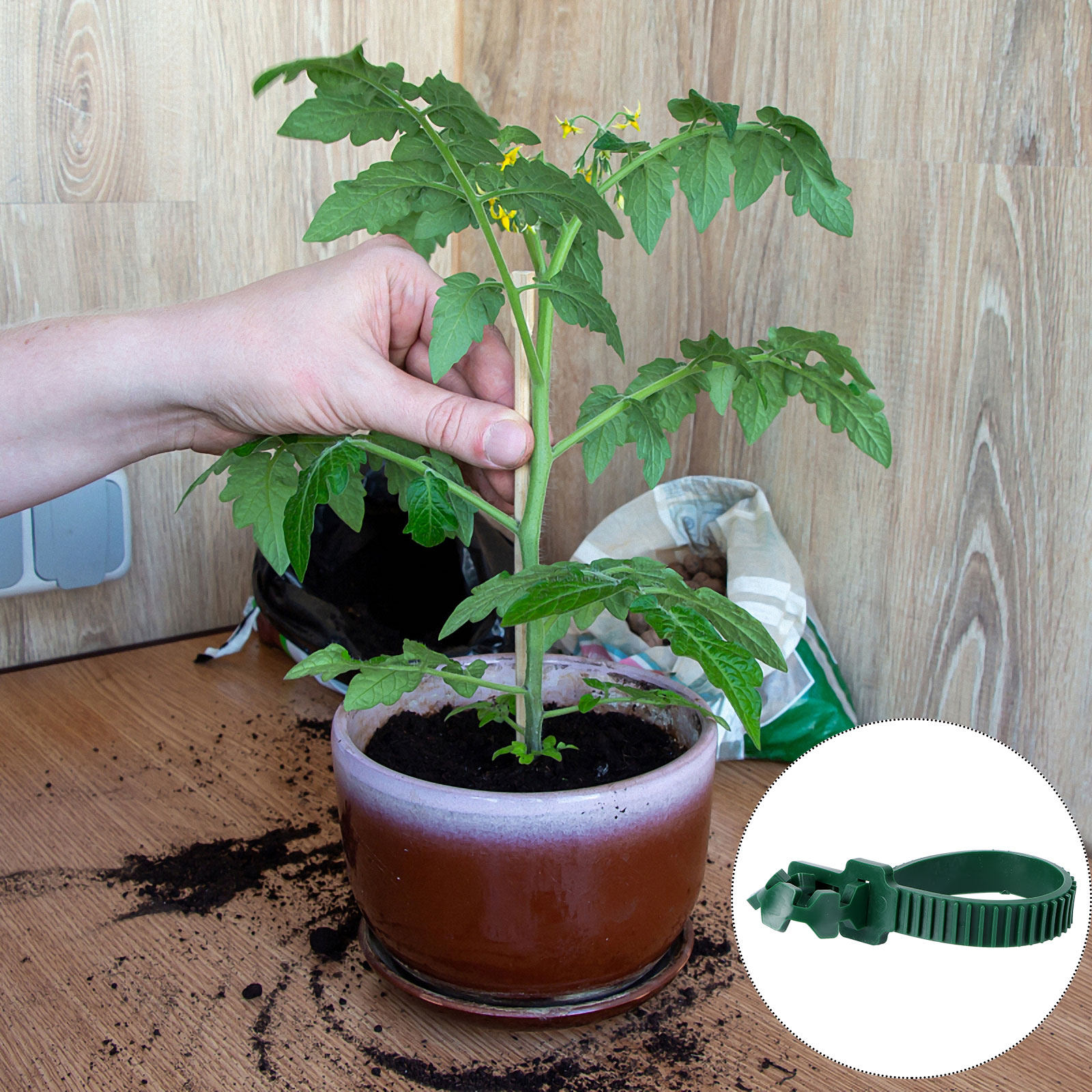 คลิปยึดเถาวัลย์สำหรับพืชในสวน  - Plant Support Stake บทวิจารณ์และราคา