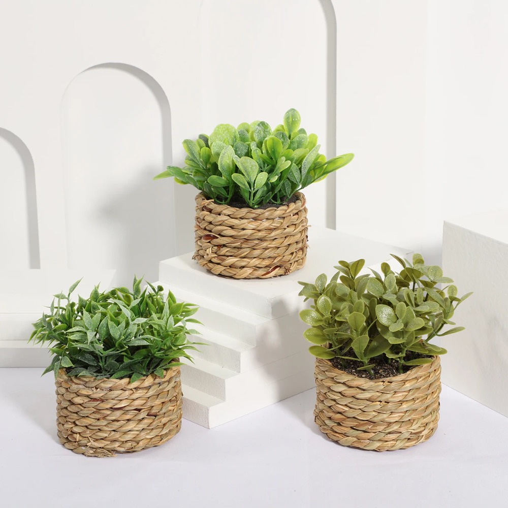 สีเขียวประดิษฐ์กระถางต้นไม้ Eu - Succulent Set บทวิจารณ์และราคา