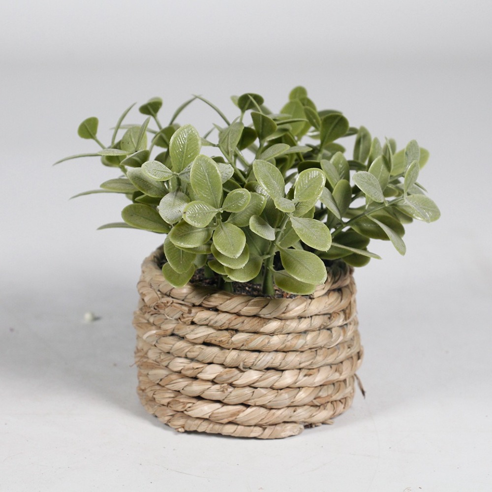 สีเขียวประดิษฐ์กระถางต้นไม้ Eu - Succulent Set บทวิจารณ์และราคา