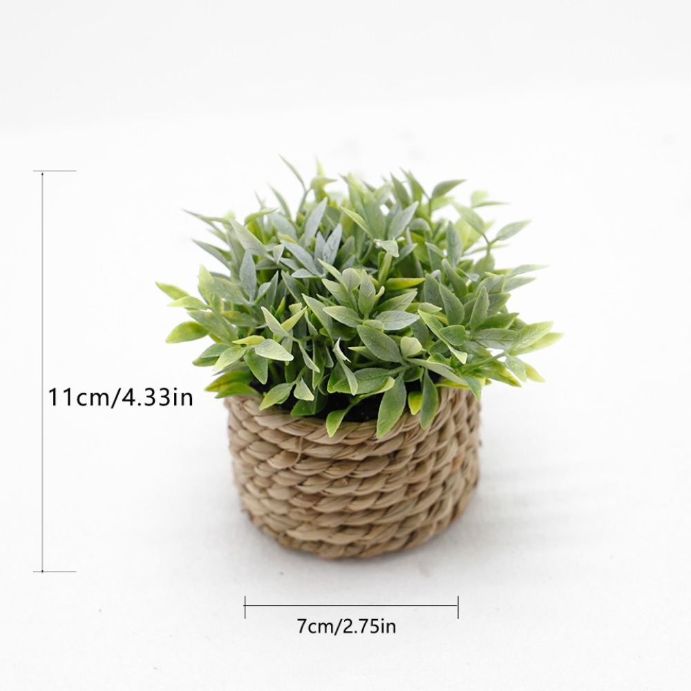 สีเขียวประดิษฐ์กระถางต้นไม้ Eu - Succulent Set บทวิจารณ์และราคา