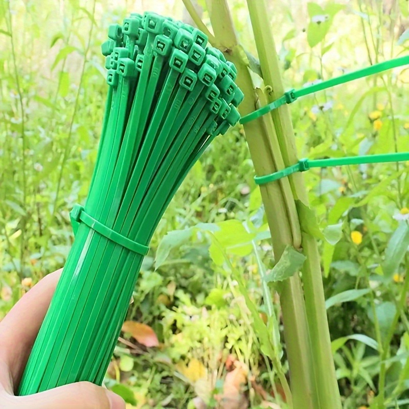 สายรัดต้นไม้ 100 ชิ้น, สำหรับพ - Plant Pot บทวิจารณ์และราคา