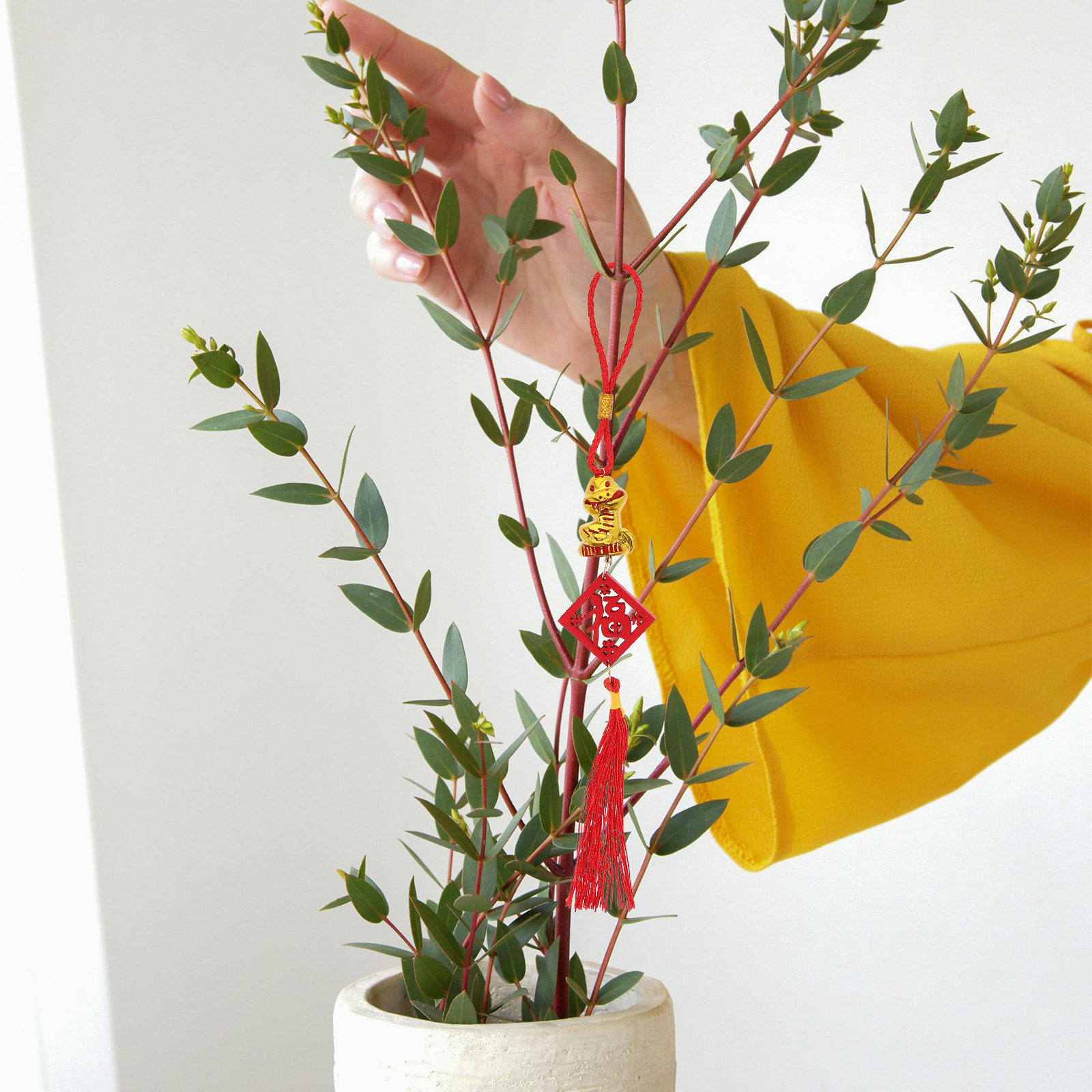ชุดจี้ไม้รูปงู 5 ชิ้น สำหรับปี - Snake Plant บทวิจารณ์และราคา