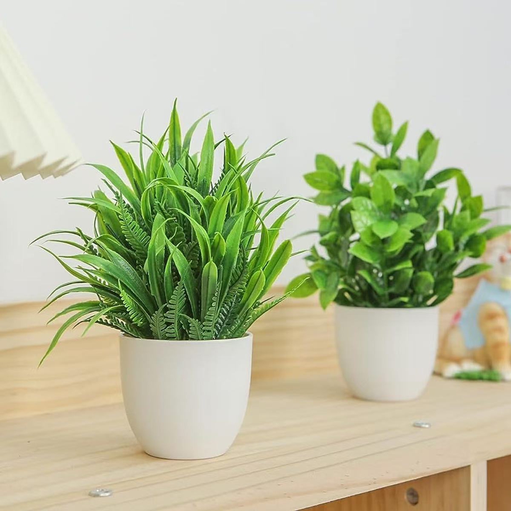 ชุดต้นไม้ประดิษฐ์ขนาดเล็ก 4 ชิ - Succulent Set บทวิจารณ์และราคา