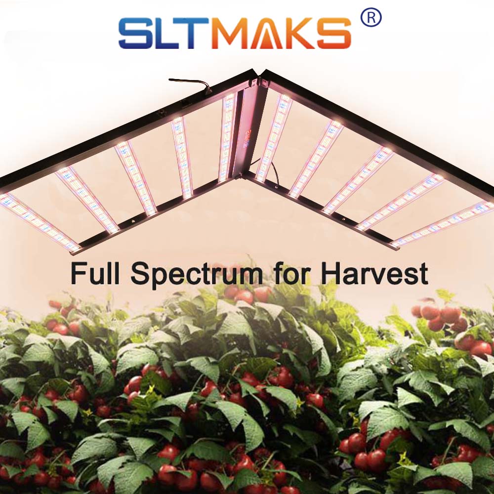 ไฟปลูกพืช SLTMAKS ขนาด 8x6 ฟุต - Indoor Plants บทวิจารณ์และราคา