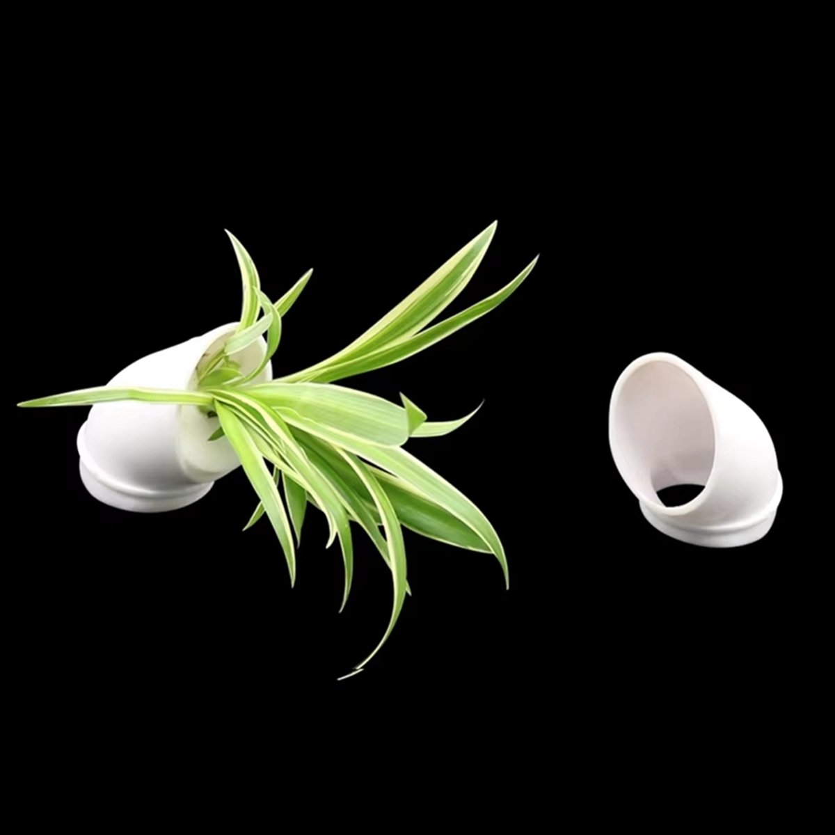 กระถางปลูกพืชไฮโดรโปนิกส์แบบแน - Plant Pot บทวิจารณ์และราคา