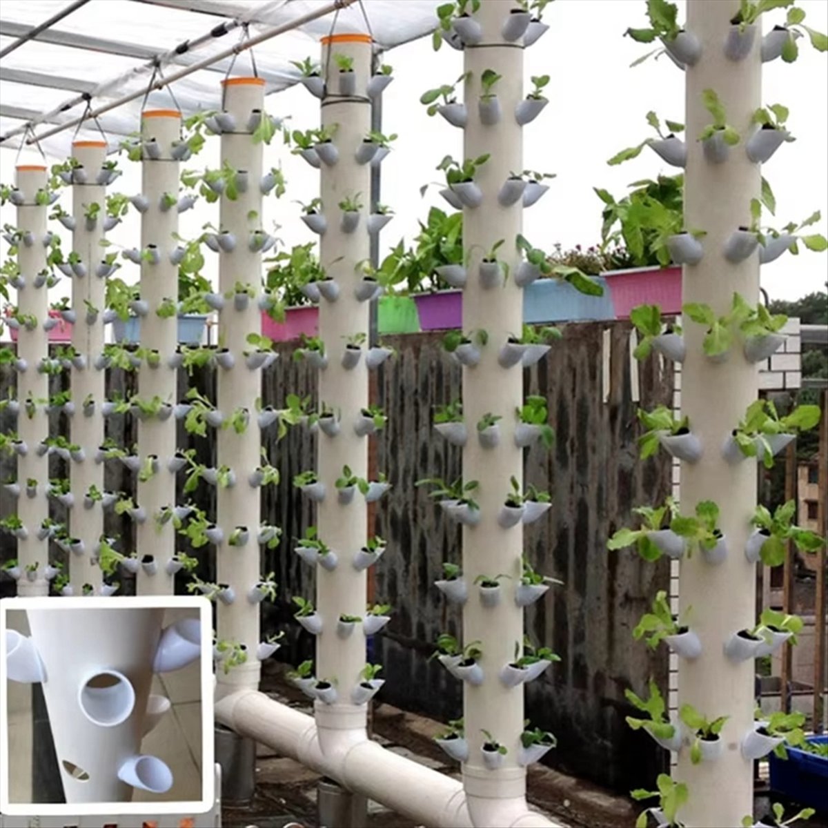 กระถางปลูกพืชไฮโดรโปนิกส์แบบแน - Plant Pot บทวิจารณ์และราคา