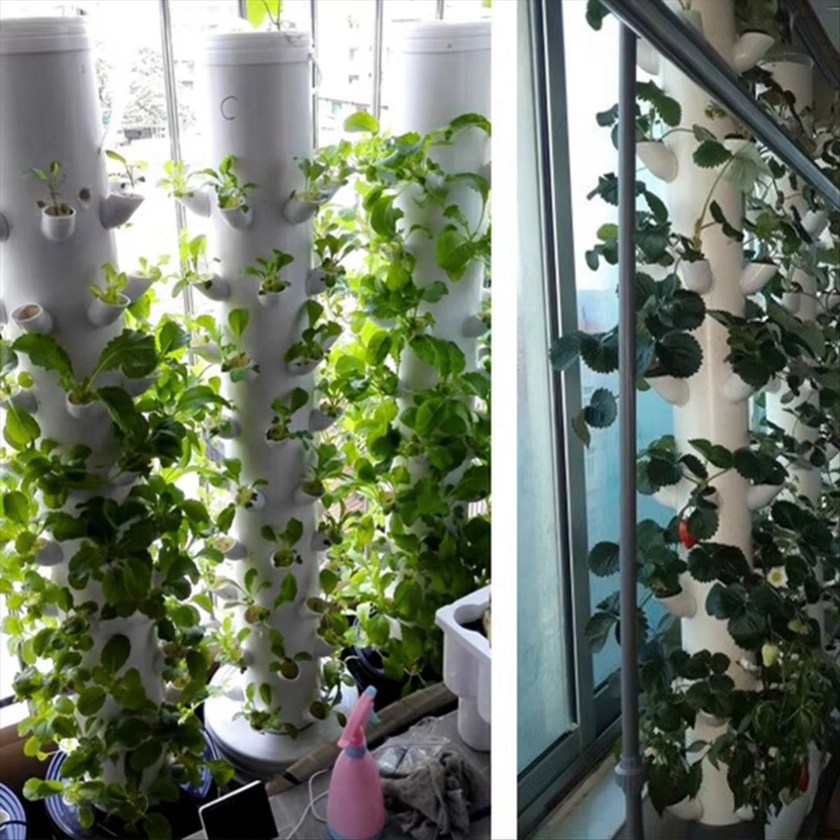 กระถางปลูกพืชไฮโดรโปนิกส์แบบแน - Plant Pot บทวิจารณ์และราคา