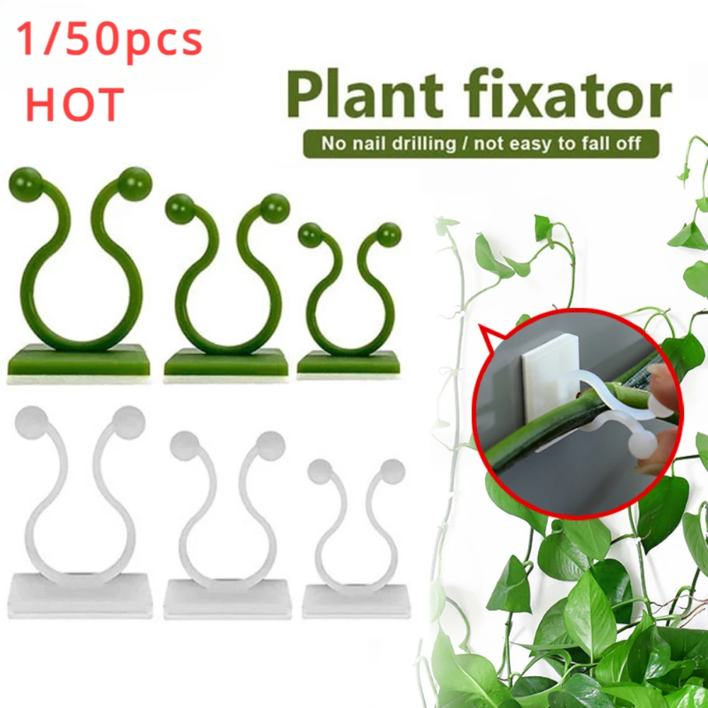 1/30/50 ชิ้นสําหรับอุปกรณ์สวนพ - Plant Support Stake บทวิจารณ์และราคา